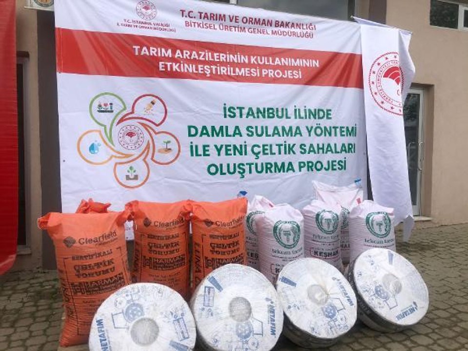 İSTANBUL TARIM İL MÜDÜRÜ: ÇELTİK ÜRETİMİ YAYGINLAŞACAK