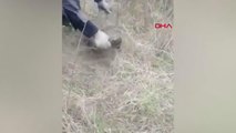 Rusya'da kuyuya düşen rakun ve kedinin imdadına polis yetişti
