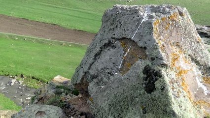 Denizi olmayan ilimizde şaşırtan yunus figürü! Görenler hatıra fotoğrafı çektirmeden gidemiyor