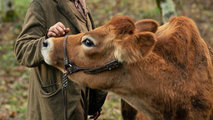 First Cow - Trailer (Deutsche UT) HD