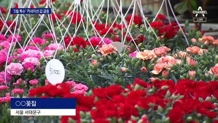 5월 되면서 금값 된 카네이션…“대신에 용돈 더 드릴까?”