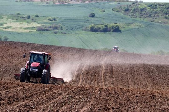 - Koronaya rağmen Türkiye'nin ayçiçeği ambarı Tekirdağ'da ayçiçeği ekimi başladı
