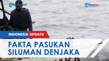 Fakta Pasukan Siluman Denjaka TNI AL yang Disebut Terjun ke Papua, Misi Selesai Tak Sampai 15 Menit