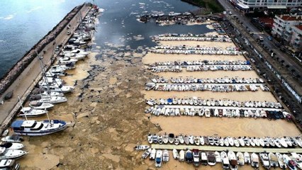 Download Video: Mudanya Yat Limanı deniz salyasıyla kaplandı