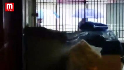 Intempéries : le marché Arab Town inondé