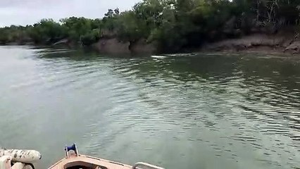 Gölde balık tutan balıkçılara bufalo saldırdı!