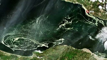 Marmara denizini saran deniz salyaları uydudan görüntülendi