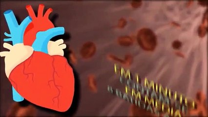 10 CURIOSIDADES SOBRE O CORAÇÃO