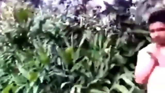 11 criaturas estranhas encontradas na internet