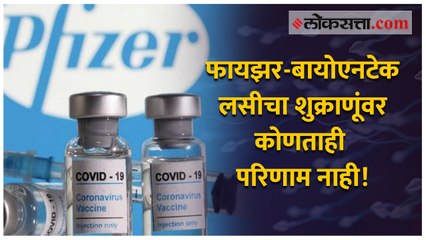 फायझर-बायोएनटेक लसीचा शुक्राणूंवर कोणताही परिणाम नाही!