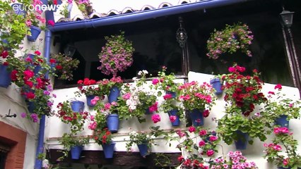 Flores y encanto en la Fiesta de los Patios de Córdoba