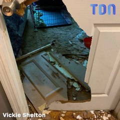 Une femme pense avoir été cambriolée alors que c'était son chien !