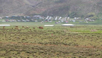 Kötü kokulara dayanamayan köylü ortaya çıkardı! Çukurdan parçalanmış ceset çıktı