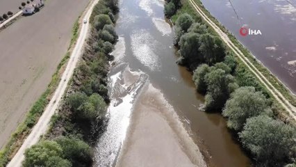 Büyük Menderes akmaz oldu, kuraklık endişesi arttı