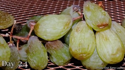 Man Pranks People With Realistic Face Mask