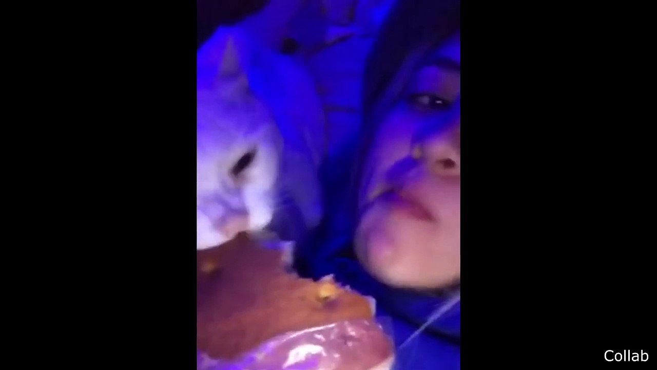 Mountain Creates Extreme Static Electricity