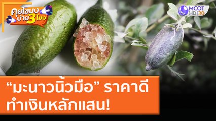 “มะนาวนิ้วมือ” ราคาดี ทำเงินหลักแสน! (4 พ.ค. 64) คุยโขมงบ่าย 3 โมง