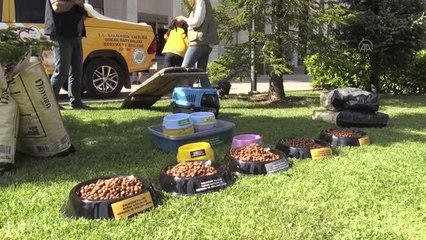BALIKESİR - Sokak hayvanları için koruma ve besleme timi oluşturuldu