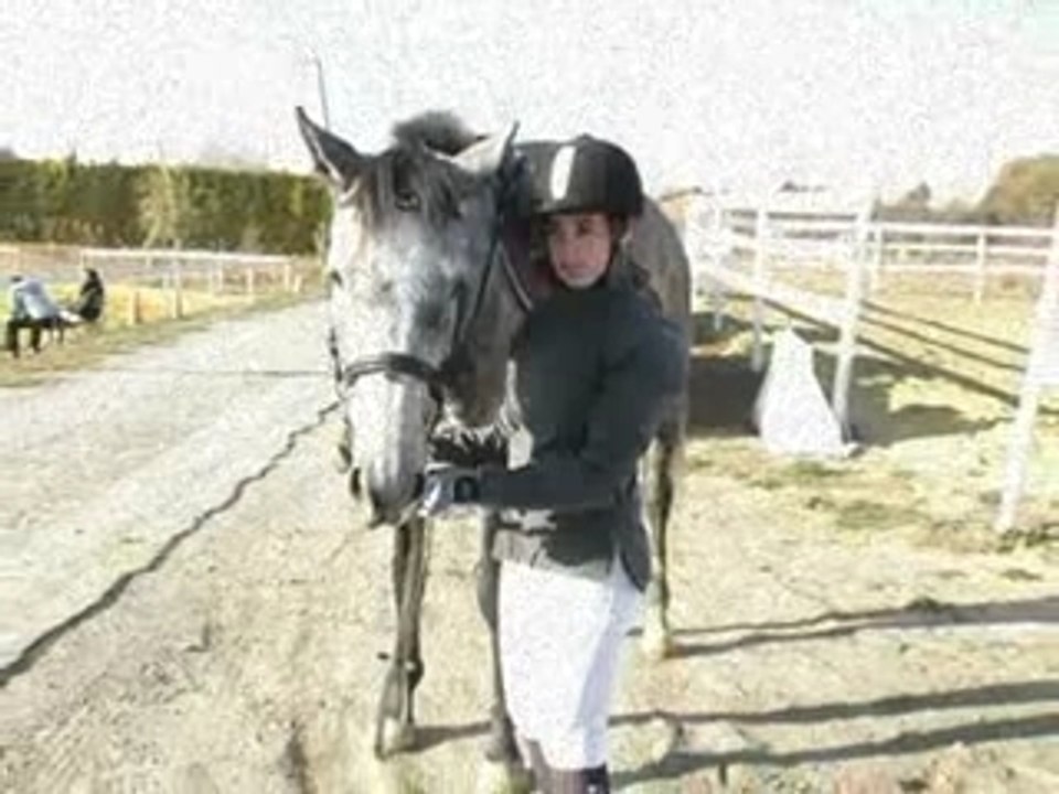 Gril Mix
