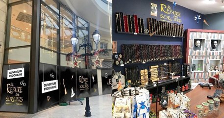 Lyon : une boutique entièrement dédiée à l'univers d'Harry Potter va ouvrir au début de l'été