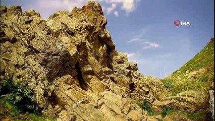 Yüksekova'da bahar güzelliği