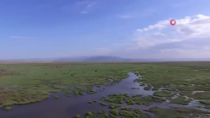 Tam kapanmayı doğa ile iç içe geçiriyorlar