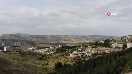 Şehmus Amca diktiği 10 bin ağaca gözü gibi bakıyor…Çöplüğü ormana çevirdi