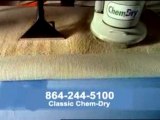 Greenville Carpet Steam Cleaning Carpet Cleaning Greenville