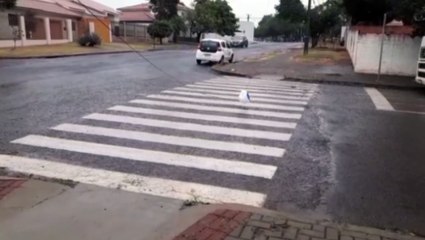 Moradores do Bairro Maria Luiza fazem alerta sobre cabo de telefonia suspenso no meio da Rua Lions Clube