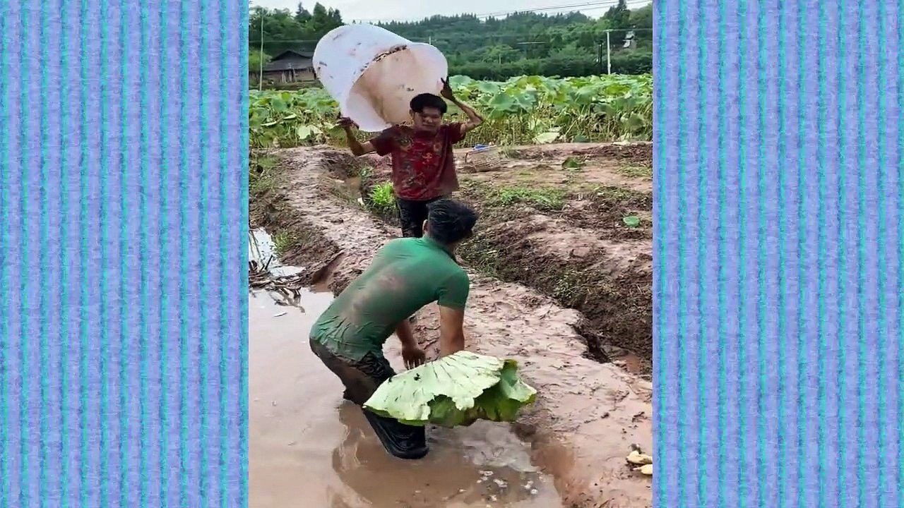 [Funny videos ] Funny video compilation Top New Comedy Video 2021 #4