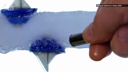 This New Experiment Involves Floating a Boat Upside Down on Levitating Water