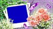 Wedding green screen Effects HD Video 23/Dil photo frame Very Beautiful New green photo frame hd