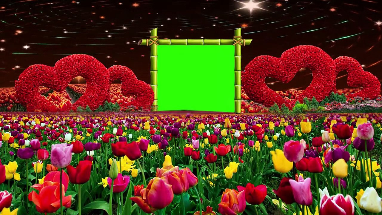 Wedding green screen Effects HD Video 24/Dil photo frame Very Beautiful New green photo frame hd
