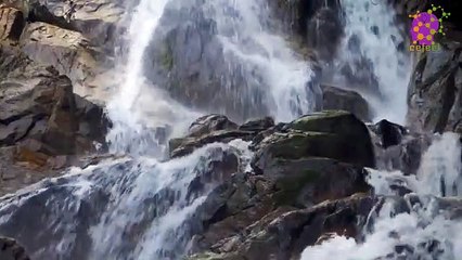 15 Minute Soothing Music for Relaxation | Waterfall | Serene | Focus | Concentration | Stress-Relief | Serene | Slow | Sleep | Study