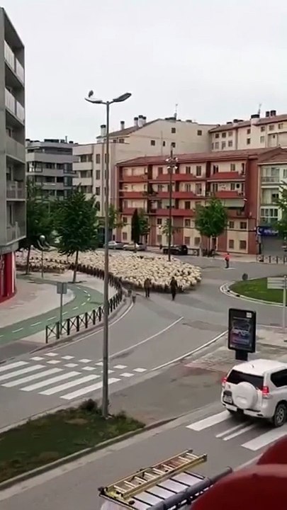 On ne s'attend pas à trouver ça à un rond point