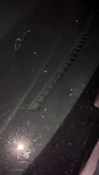 Quand on voit des bébés araignées, la maman n'est jamais très loin