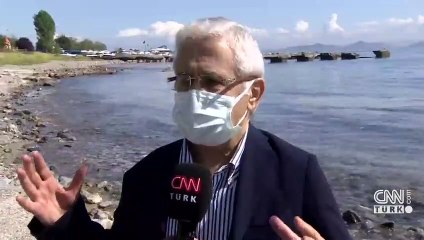 Marmara'da deniz salyası kabusu