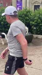 Goofy Husky Plays in Water Fountain