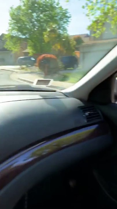 Turkey Whisperer Stops To Gobble