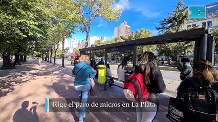 Rige el paro de micros en La Plata