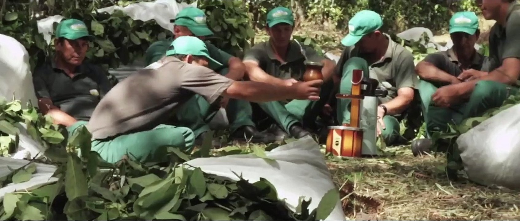 Spot de promoción de Honest Yerba Mate