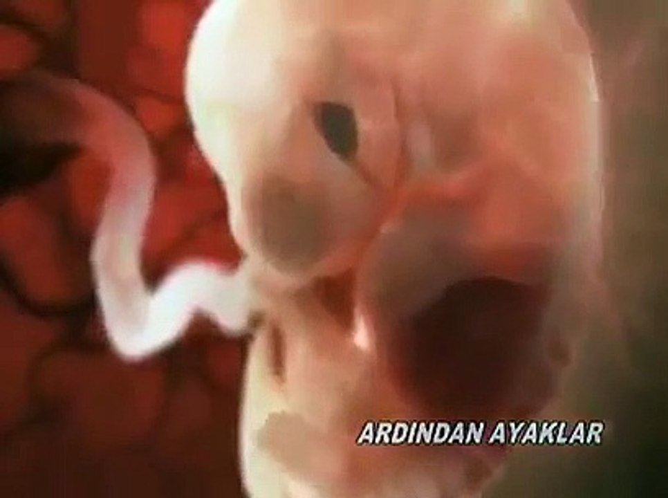 İnsanın yaratılış serüveni