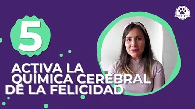 Top 5: cómo las mascotas ayudan a la salud mental