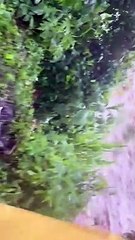 Personas atrapadas al intentar cruzar Río en Suchitepéquez