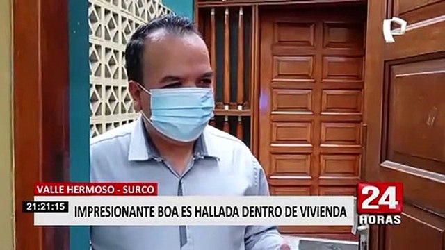Surco: Policía y serenos del distrito intervienen boa dentro de una vivienda
