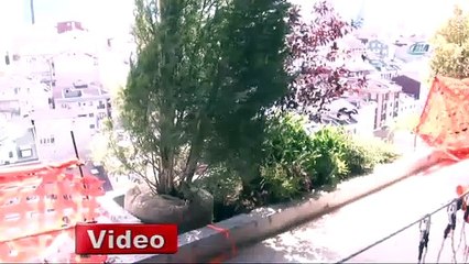 ‘Dikey Orman’ın ilk ağacı dikildi