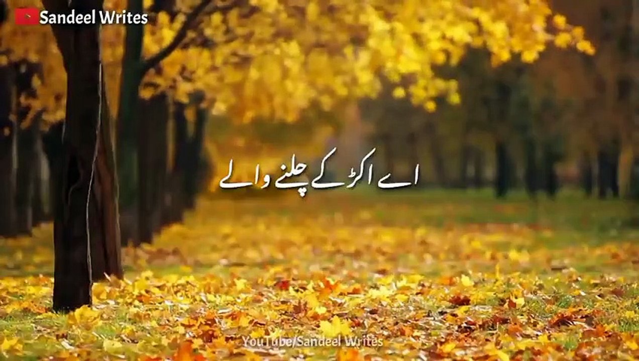 Raza SaQib Mustafai Best Bayan Status _ Raza SaQib Mustafai WhatsApp Status _ WhatsApp Status _ ( 480 X 854 )