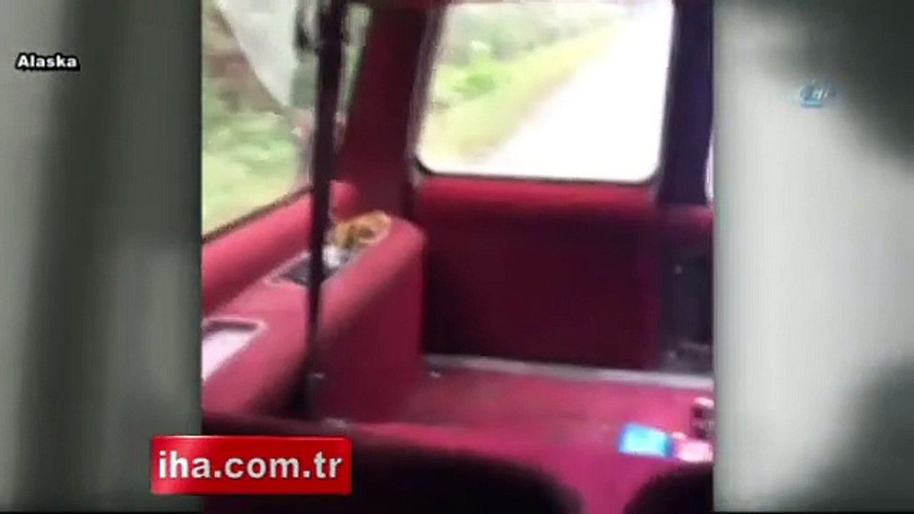 Ayı saldırısı kameraya böyle yansıdı