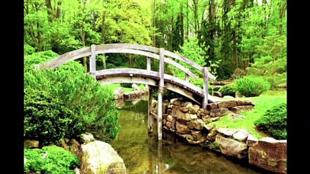 Curso de Bonsai Online