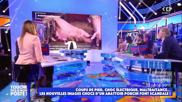 Benjamin Castaldi s'emporte dans Touche pas à mon poste contre une activiste pour la protection animale - C8
